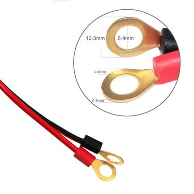 Anpassung 10A Anpassung Zigarettenaufleucher für Autos mit 2 Ports