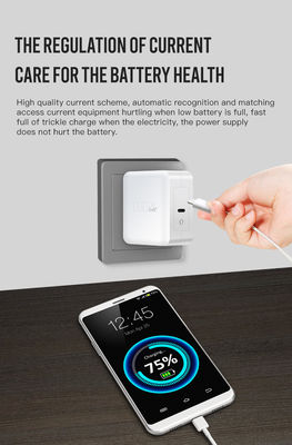 Überspannungsschutz GaN PD Ladegerät