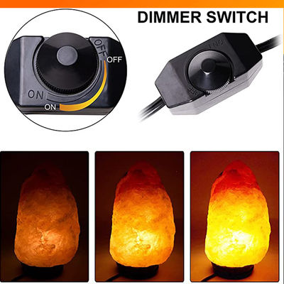 Ersatzlampe mit Inline-Schalter Dimmer Us 2 Prong Ac Usa Stromkabel
