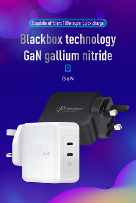 2-Pin-USB-C-Ladegerät mit doppelten Ports, 100W High-Speed Type-C-Power-Adapter für Laptops, Tablets und Smartphones